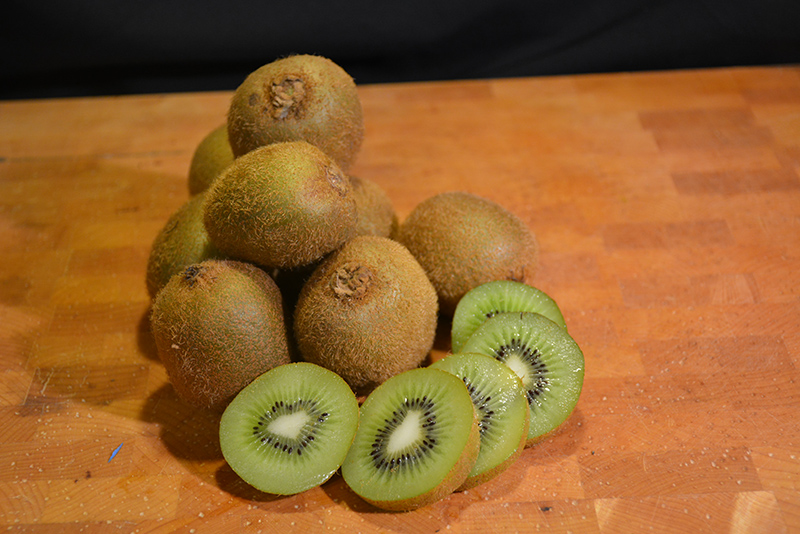 Kiwifruit (Actinidia deliciosa) at All Seasons Nursery